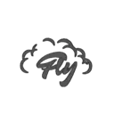 FLY NANO